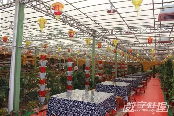 蚌埠绿禾农业生态园拓展基地